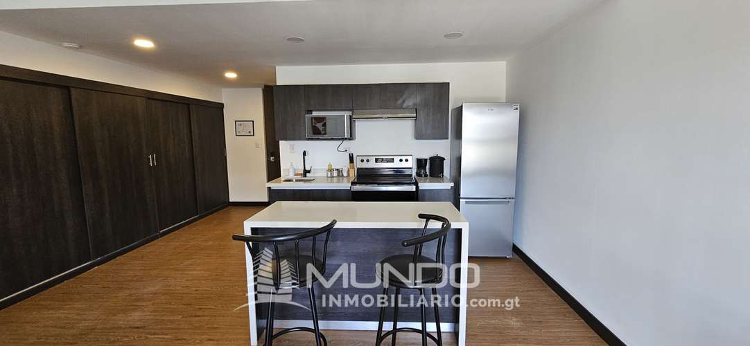APARTAMENTO AMOBLADO EN RENTA ZONA 10 - Imagen 10