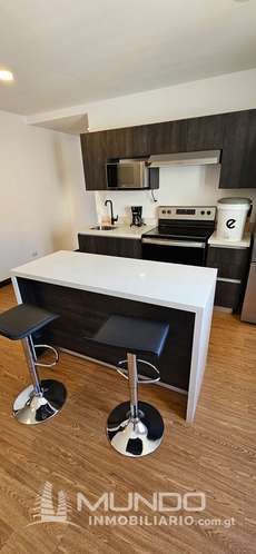 APARTAMENTO AMOBLADO EN RENTA ZONA 10 - Imagen 2