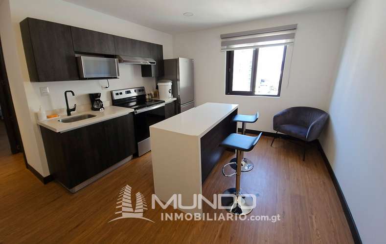 APARTAMENTO AMOBLADO EN RENTA ZONA 10 - Imagen 3