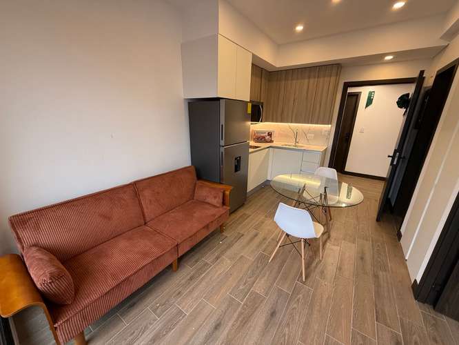Rento Apartamento AMUEBALDO en Avenida Las Americas    APTO. NUEVO DE 1 DORM. - Imagen 12