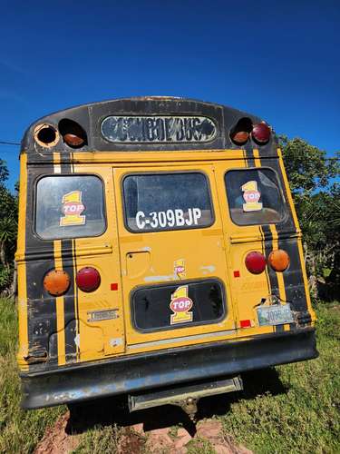 Bus internacional 6 filas