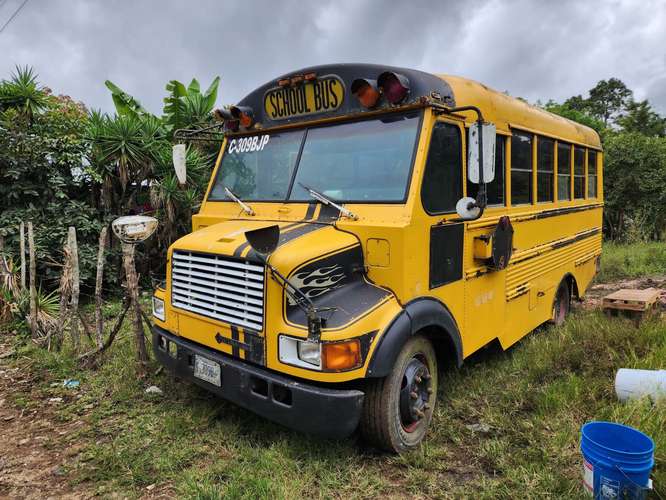 Bus internacional 6 filas