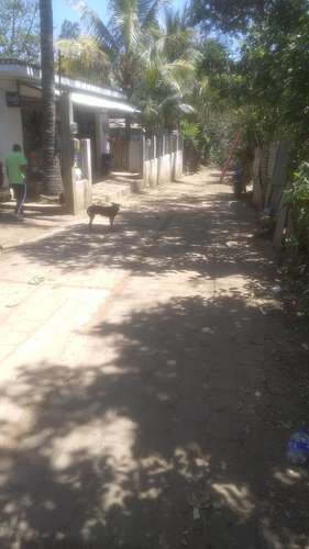 Dos lotes juntos 10x15 total de m2 300mts2  - Imagen 2