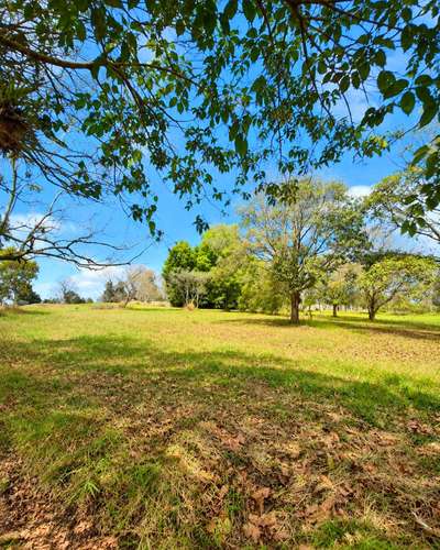TERRENO EN VENTA CAES CONDADO SAN FRANCISCO JAVIER  - Imagen 7
