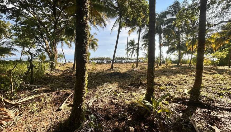 Terreno exclusivo con vista y frente al lago en Livingston, Izabal - Imagen 2
