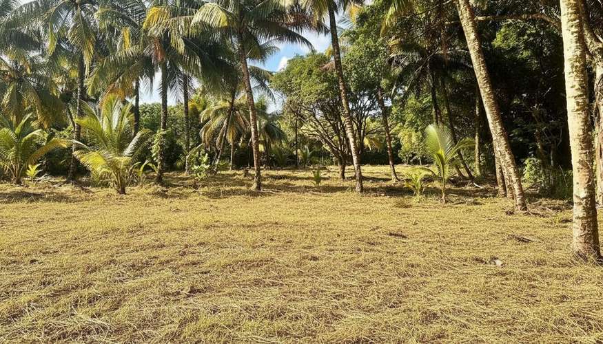Terreno exclusivo con vista y frente al lago en Livingston, Izabal