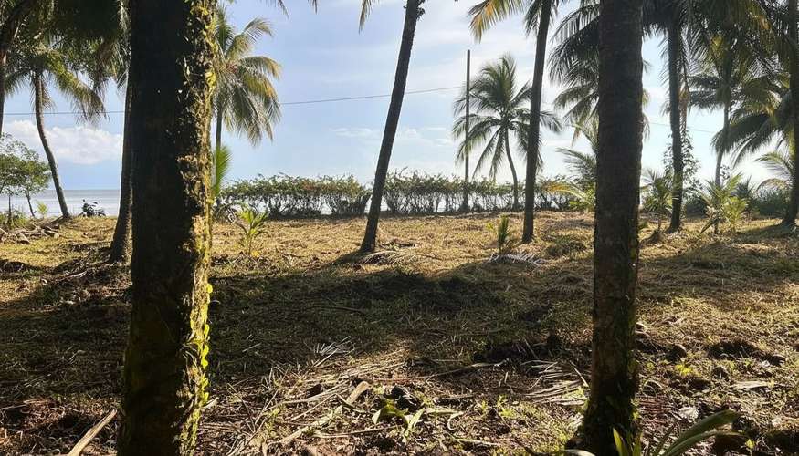 Terreno exclusivo con vista y frente al lago en Livingston, Izabal - Imagen 3
