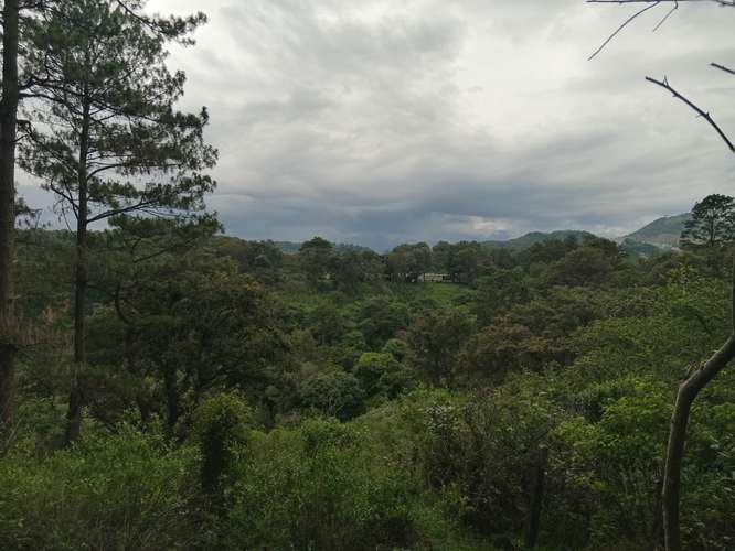 Terreno