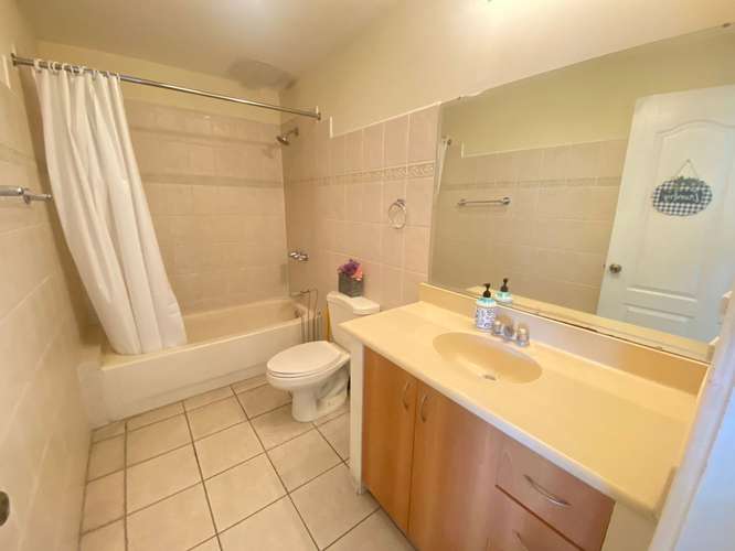 ALQUILO APARTAMENTO AMUEBLADO ZONA 14 (AMERICAS)