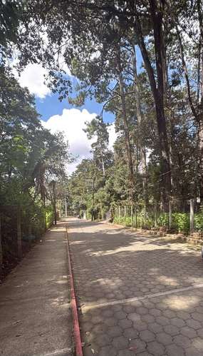 VENDO TERRENO CON UBICACIÓN PRIVILEGIADA EN LA INTERAMERICANA - Imagen 8