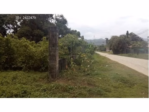 Terreno en via principal Barrio Venecia, Tela - Imagen 2