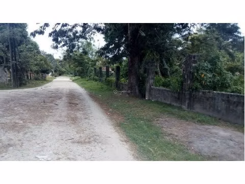 Terreno en via principal Barrio Venecia, Tela - Imagen 3
