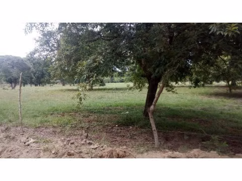 Se vende terreno urbano/rural, Aldea playera San Juan, Tela