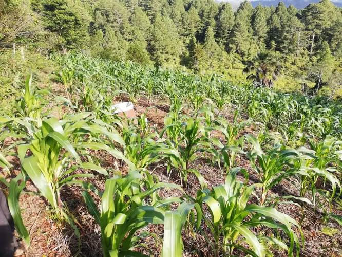 VTA TRR VALLE ANGELES ALDEA LA CHINACLA
