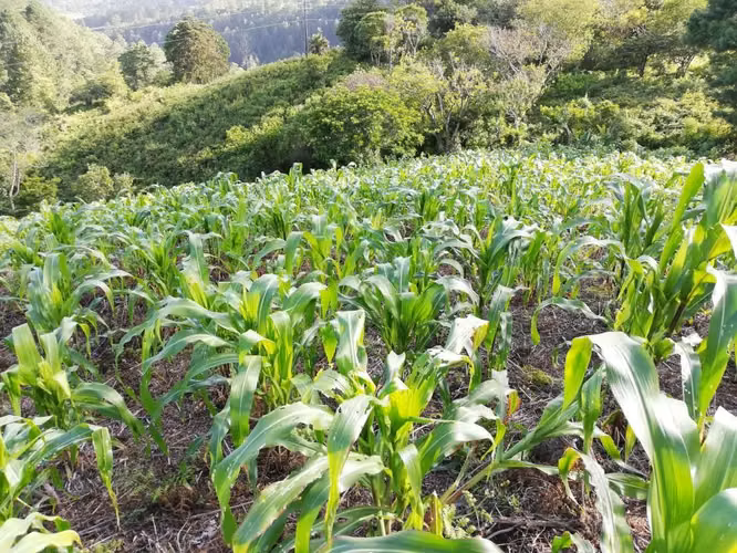 VTA TRR VALLE ANGELES ALDEA LA CHINACLA
