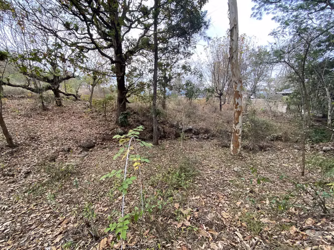 Venta de Terreno en Uyuca CA-6