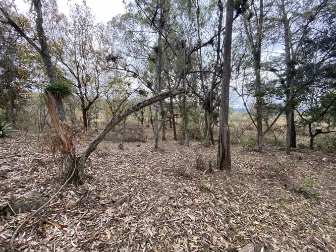 Venta de Terreno en Uyuca CA-6