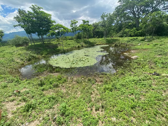 FINCA EN ALQUILER EN EL ZAMORANO