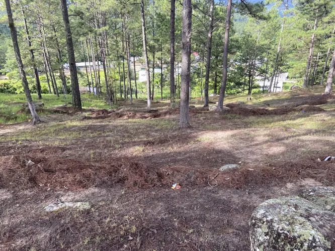 Venta de Terreno Valle de Angeles - Imagen 5