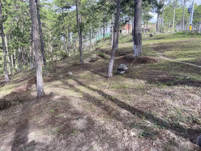 Venta de Terreno Valle de Angeles - Imagen 6