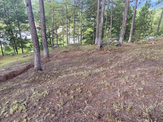 Venta de Terreno Valle de Angeles - Imagen 2