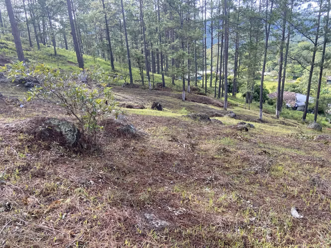 Venta de Terreno Valle de Angeles - Imagen 3