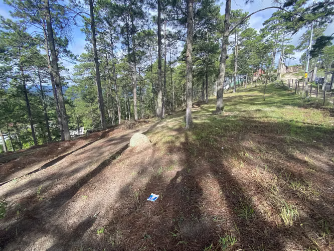 Venta de Terreno Valle de Angeles - Imagen 4