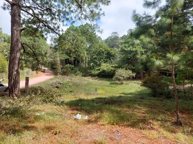 Terreno en Venta en Linaca - Imagen 2