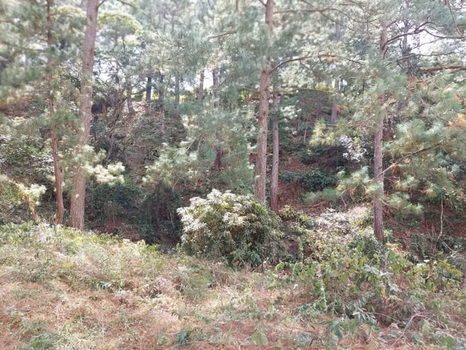 Terreno en Venta en Linaca - Imagen 7