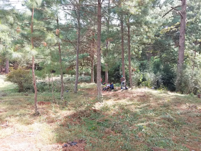 Terreno en Venta en Linaca - Imagen 3