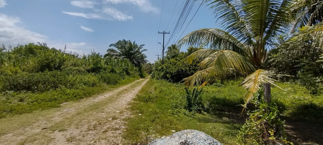 Tela 3 Lotes Juntos en Venta - Imagen 4