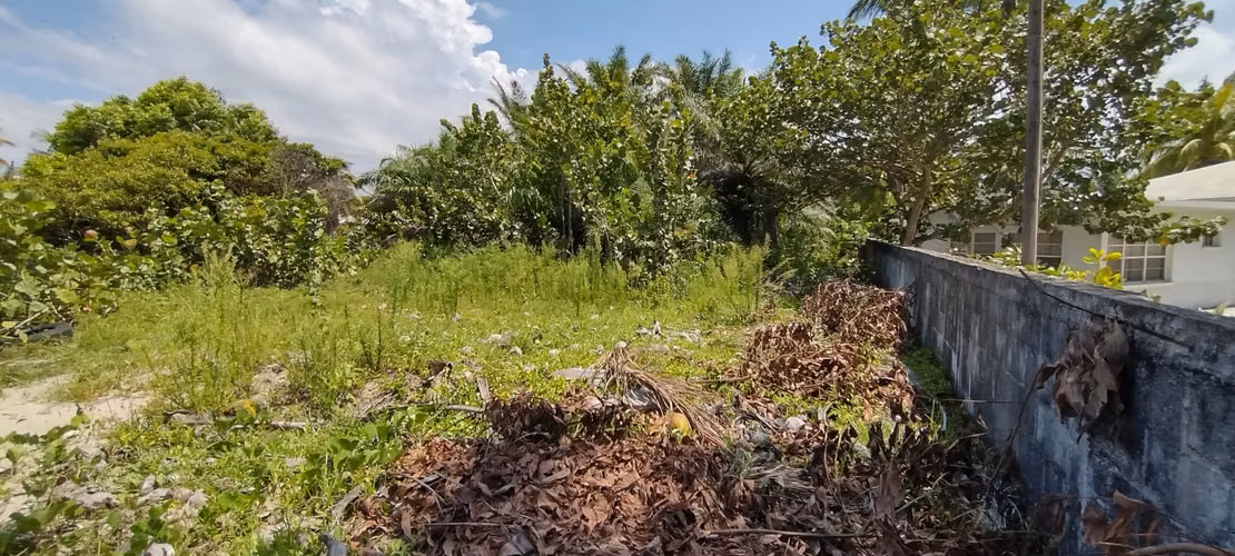 Tela 3 Lotes Juntos en Venta - Imagen 6