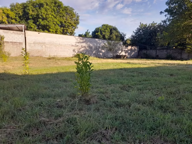 Rental Land Nacaome
