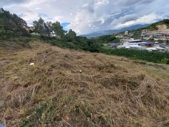 Alquiler Terreno Anillo Periférico - Imagen 3