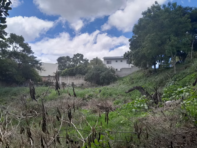 Se Venden Bonitos Lotes de Terreno Res. Ciudad Nueva - Imagen 7