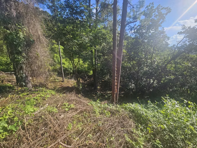 Venta Terreno Lomas de Santa Lucía - Imagen 6