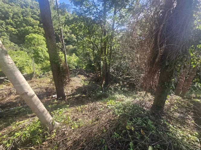 Venta Terreno Lomas de Santa Lucía - Imagen 5