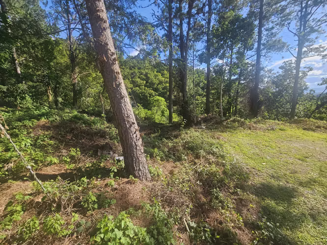Venta Terreno Lomas de Santa Lucía - Imagen 3