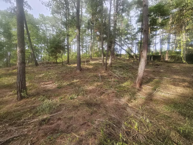 Venta Terreno en El Hatillo - Imagen 3