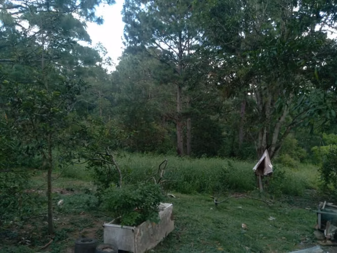 Se Vende Terreno en Siguatepeque