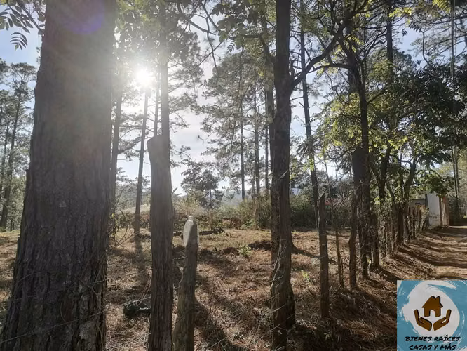 TERRENO SEMI PLANO EN VENTA EN ZONA EL MOLINO DE VALLE DE ÁNGELES