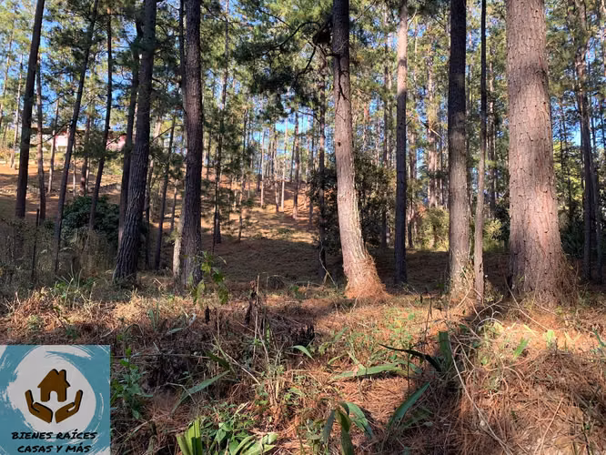 TERRENO SEMI PLANO EN VENTA EN ZONA EL MOLINO DE VALLE DE ÁNGELES