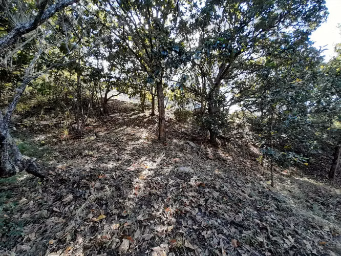 Venta Terreno en Lomas de Santa Lucía