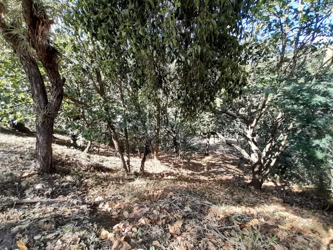 Venta Terreno en Lomas de Santa Lucía