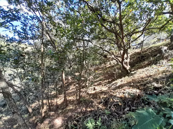 Venta Terreno en Lomas de Santa Lucía