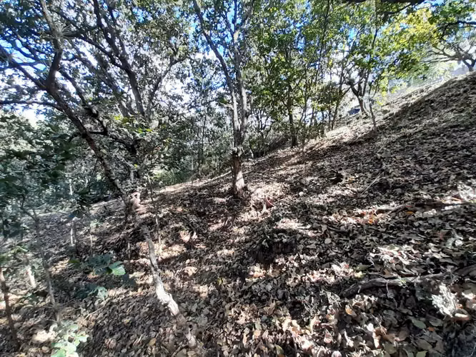 Venta Terreno en Lomas de Santa Lucía