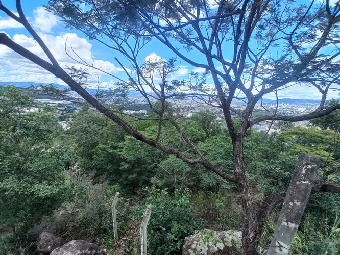 Venta Terreno Residencial Honduras