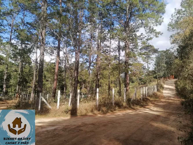 TERRENO EN VENTA EN ZONA EL MOLINO, CERCA DE VALLE DE ÁNGELES - Imagen 4