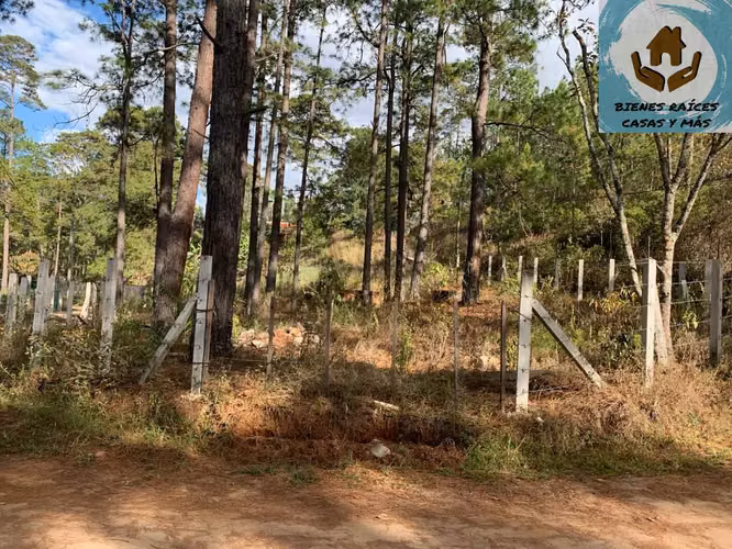 TERRENO EN VENTA EN ZONA EL MOLINO, CERCA DE VALLE DE ÁNGELES - Imagen 3