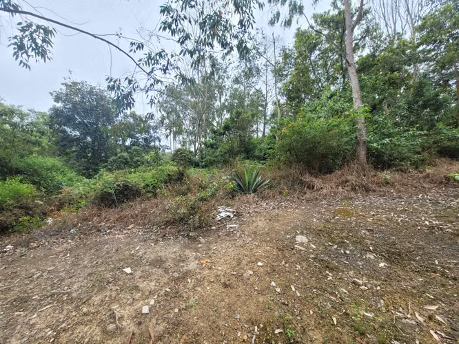 Se Vende Terreno en Res. Miralago, El Hatillo - Imagen 5
